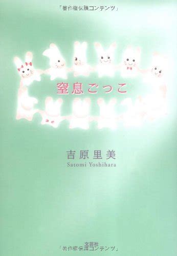 市川さとみ|市川里美 おすすめランキング (62作品)